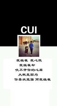 姓崔的图片,探寻崔氏家族的传承与魅力